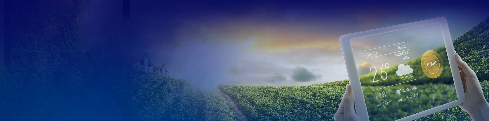 數字鄉(xiāng)村農業(yè)