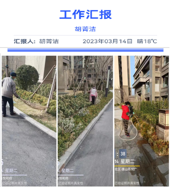 市區(qū)項(xiàng)目3月工作日報(bào)