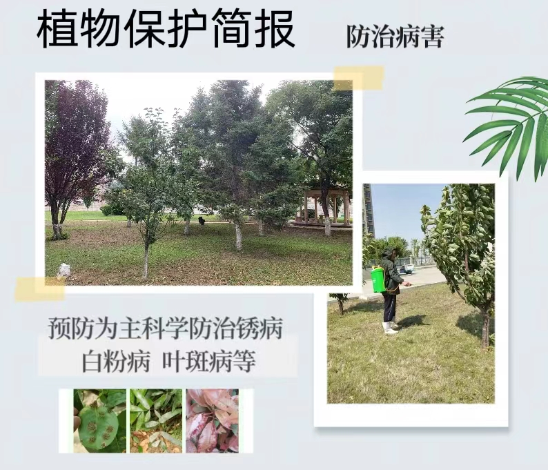 園林綠化植物保護(hù)簡(jiǎn)報(bào)